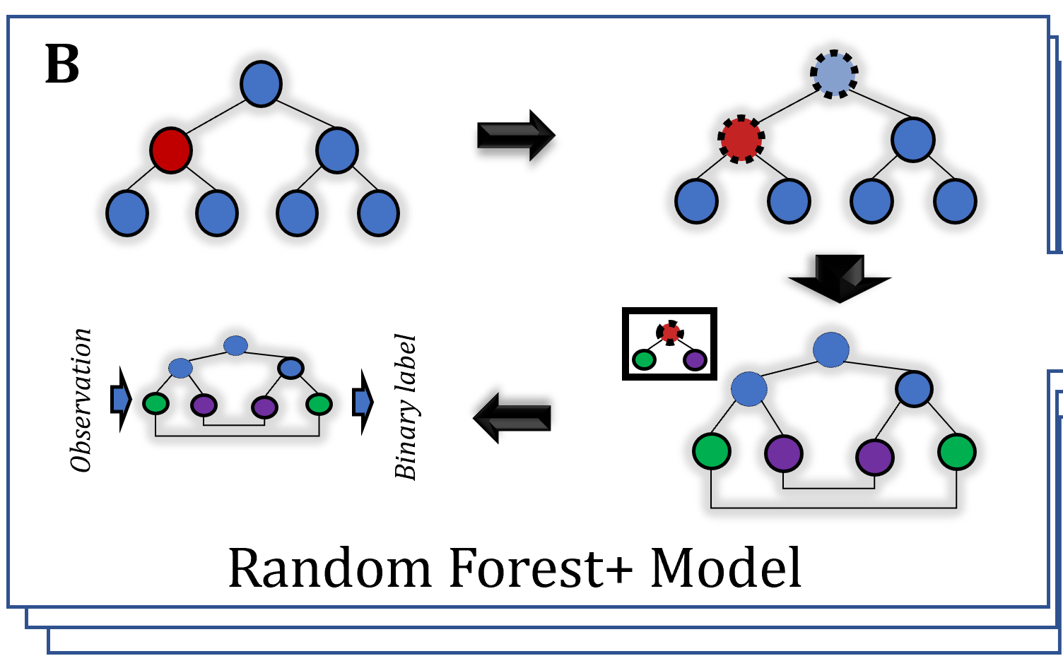 Random Forest+
